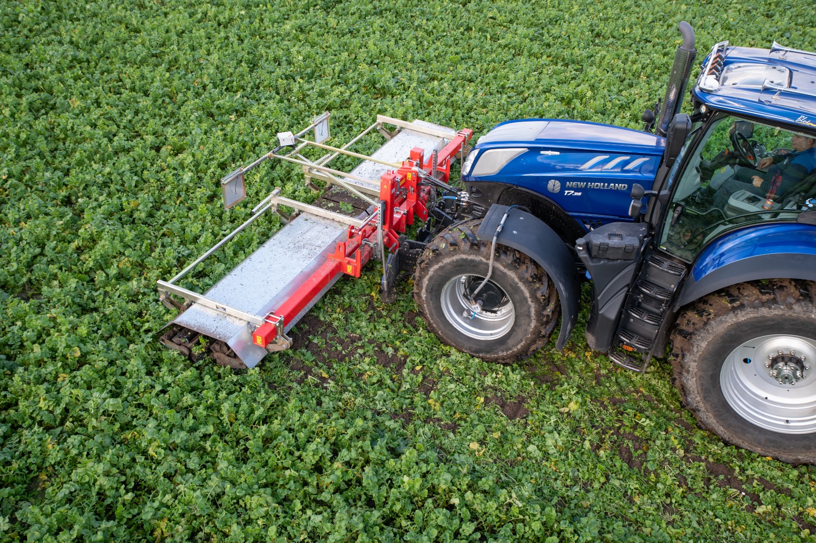 Evers Cutting roller:  effective for maize stubble cultivation and to control the larvae of the corn stalk borer in an environmentally friendly manner