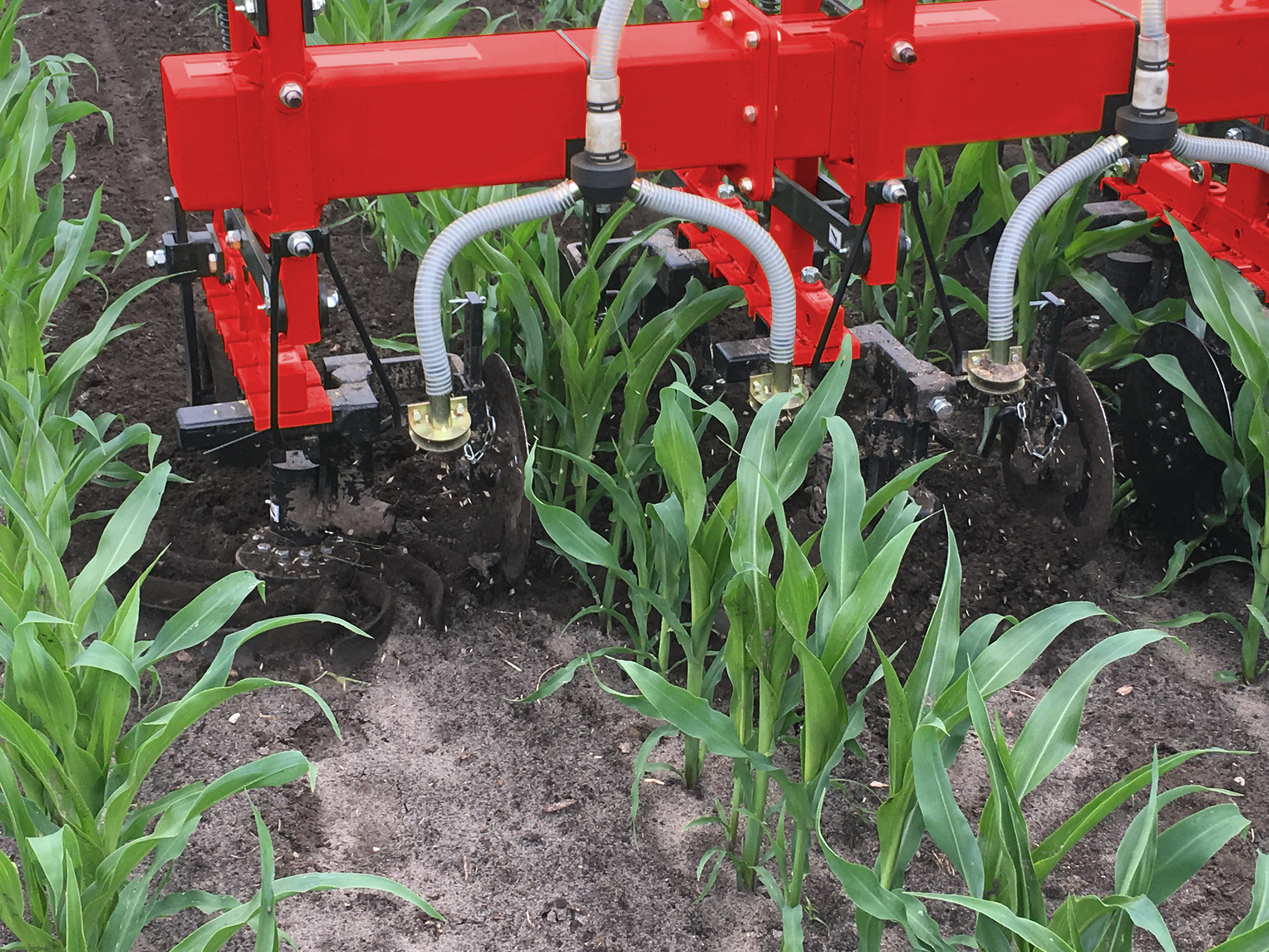 Slurry injection and hoeing of maize land in one pass, with seed drill for undersowing under maize 