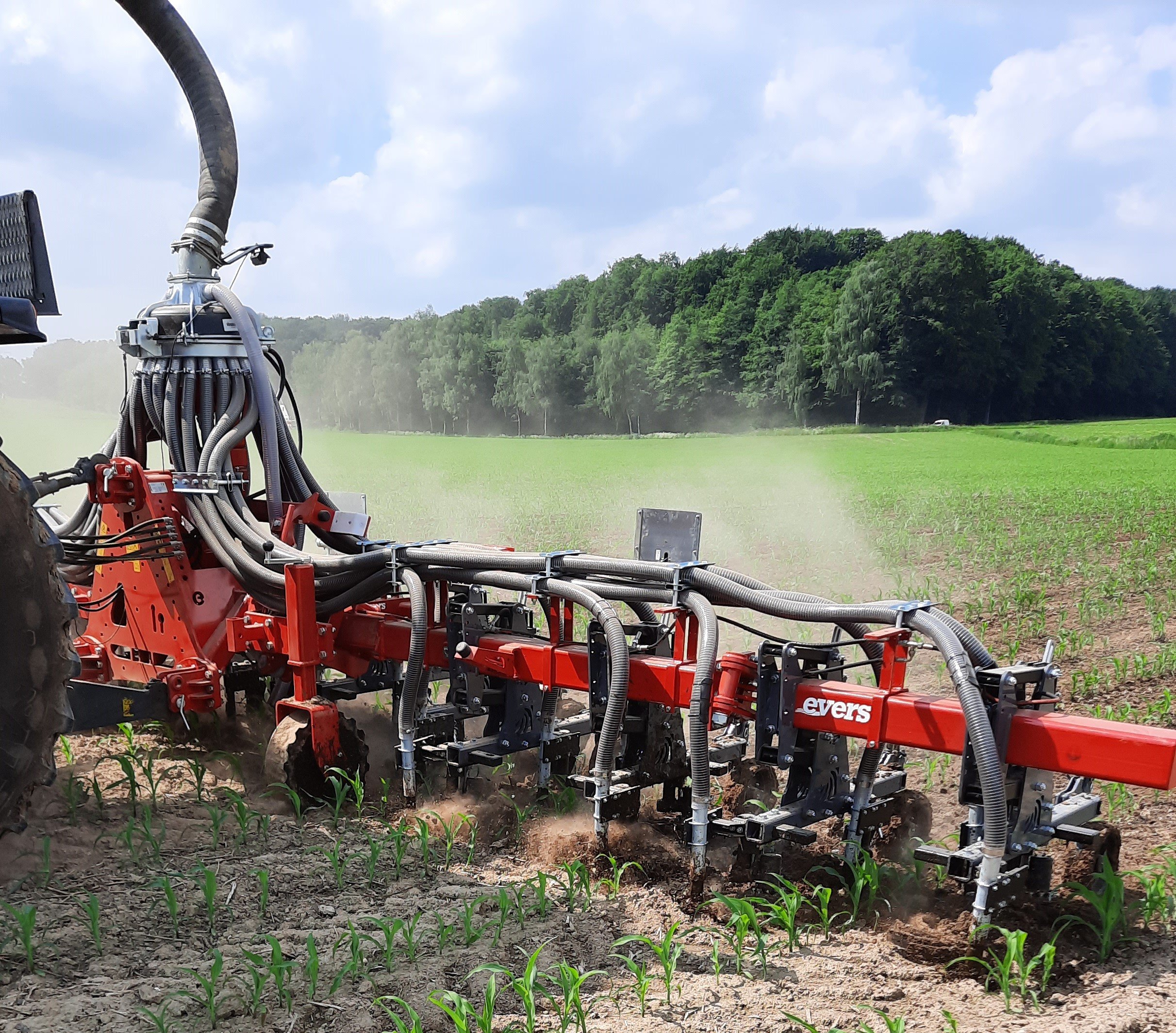 Evers Combi row-crop injector: slurry injection and hoeing of maize land in one pass