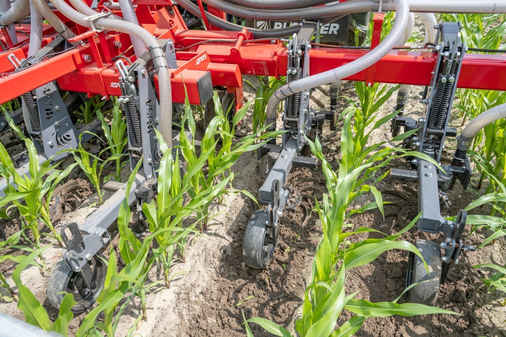 Evers Inter-row crop injector: slurry injection and hoeing of maize land in one pass