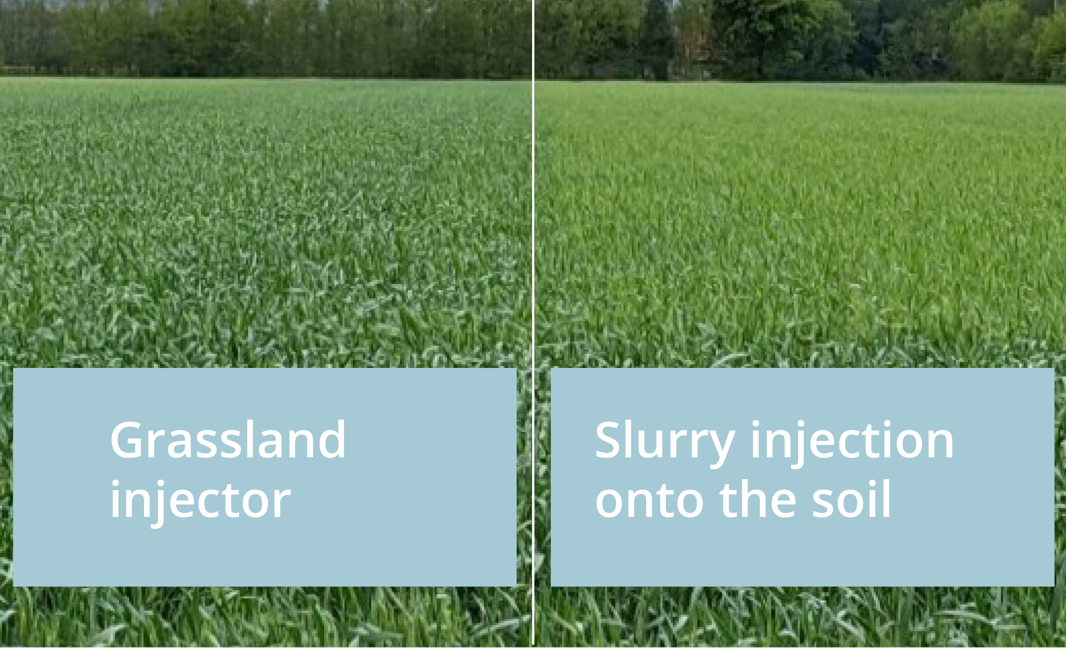 Save 240 kg of fertiliser per hectare with the right manure technology