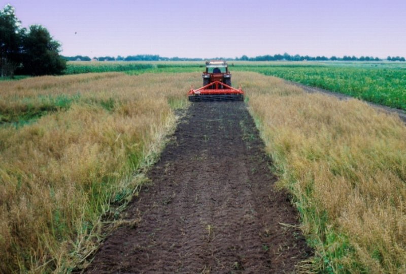 Incorporating green manure