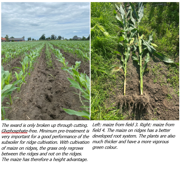 Advantages of tillage using the Evers subsoiler for ridge cultivation